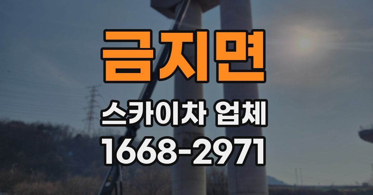 금지면 스카이차 업체