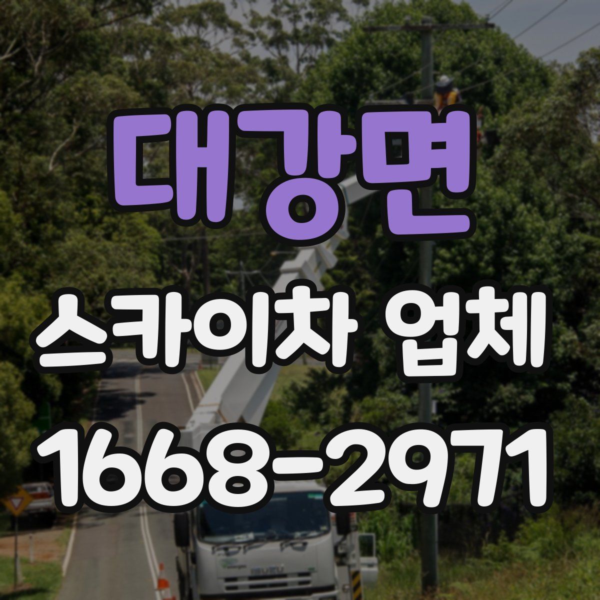 대강면 스카이차 업체