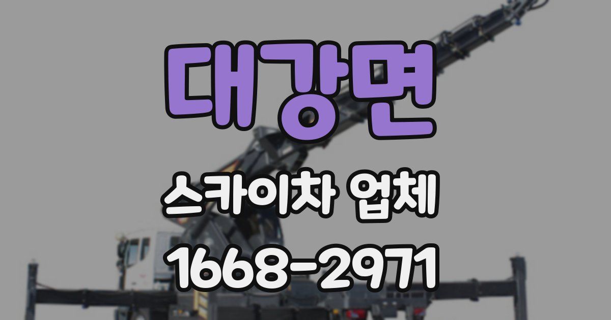 대강면 스카이차 업체