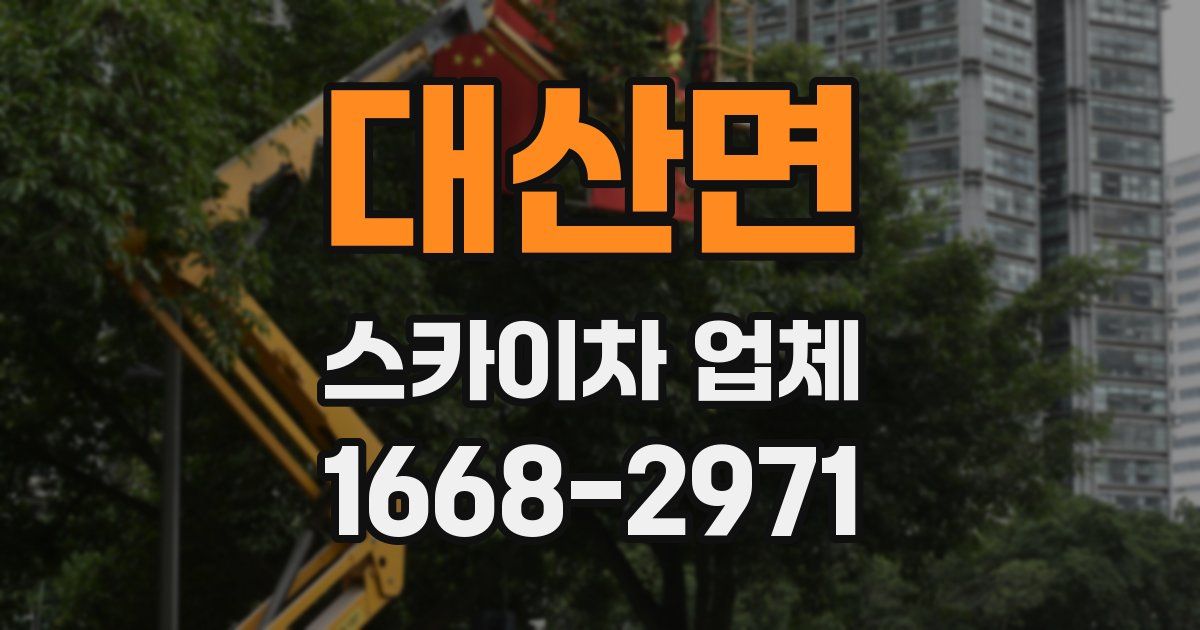 대산면 스카이차 업체