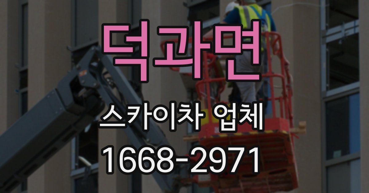 덕과면 스카이차 업체