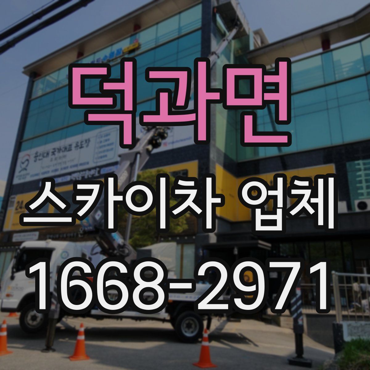 덕과면 스카이차 업체