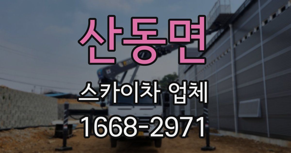 산동면 스카이차 업체