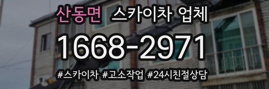 산동면 스카이차 업체