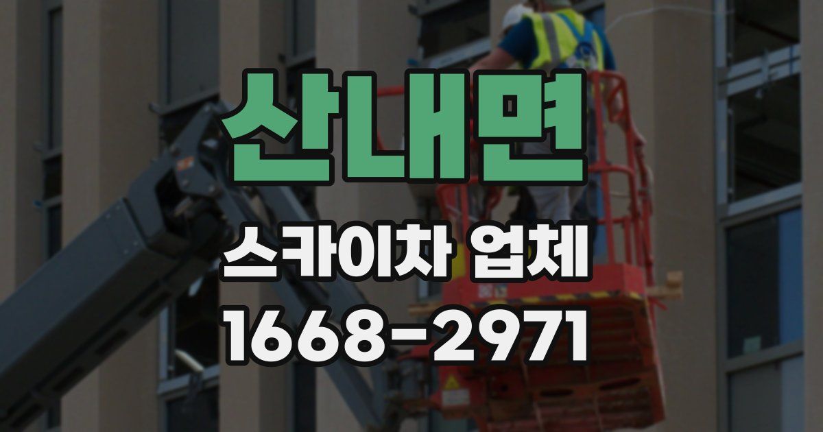 산내면 스카이차 업체