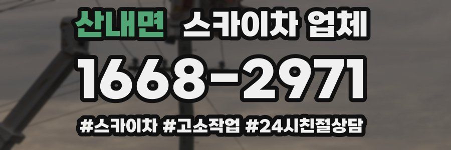 산내면 스카이차 업체