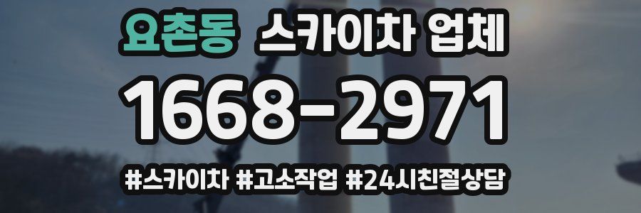 요촌동 스카이차 업체