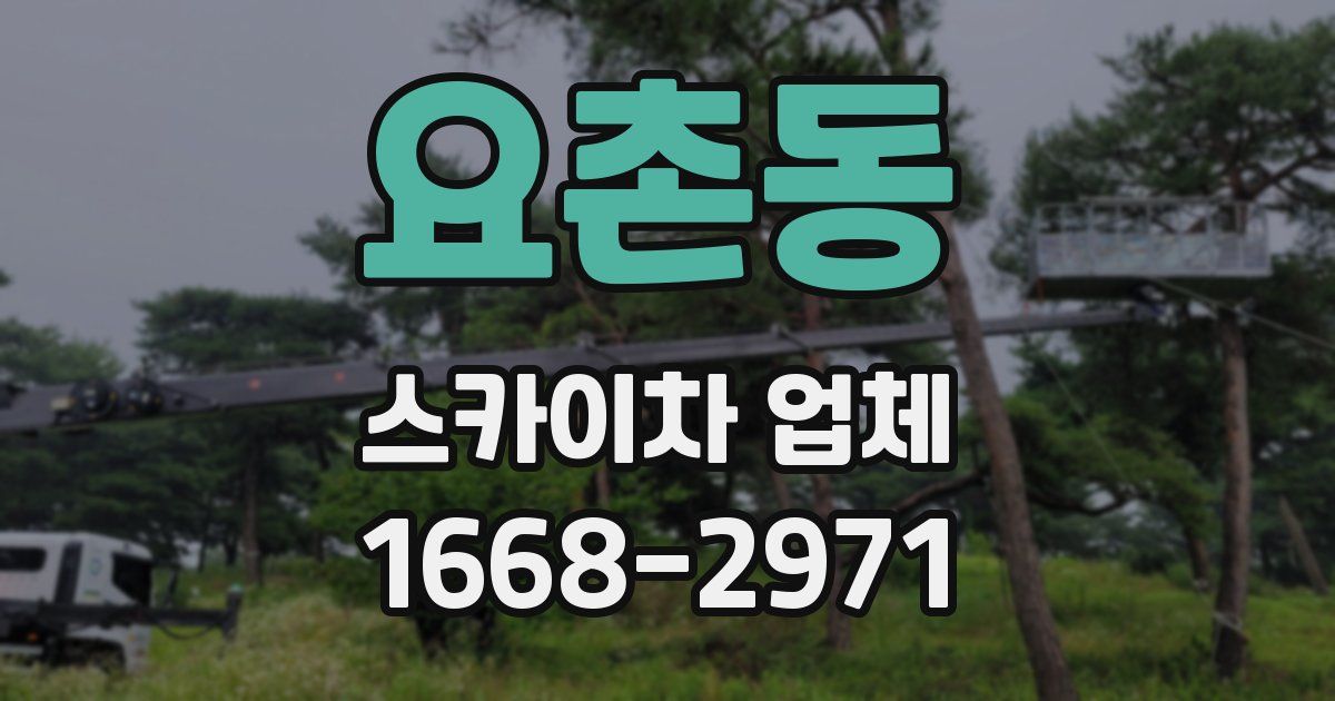 요촌동 스카이차 업체
