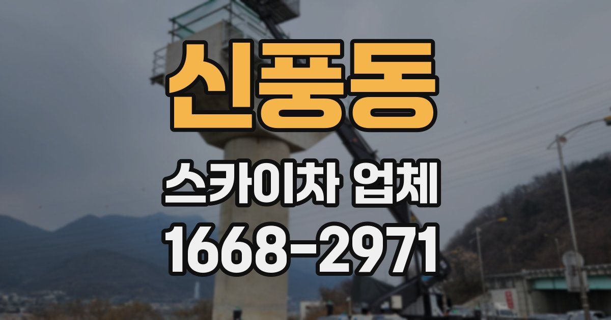 신풍동 스카이차 업체