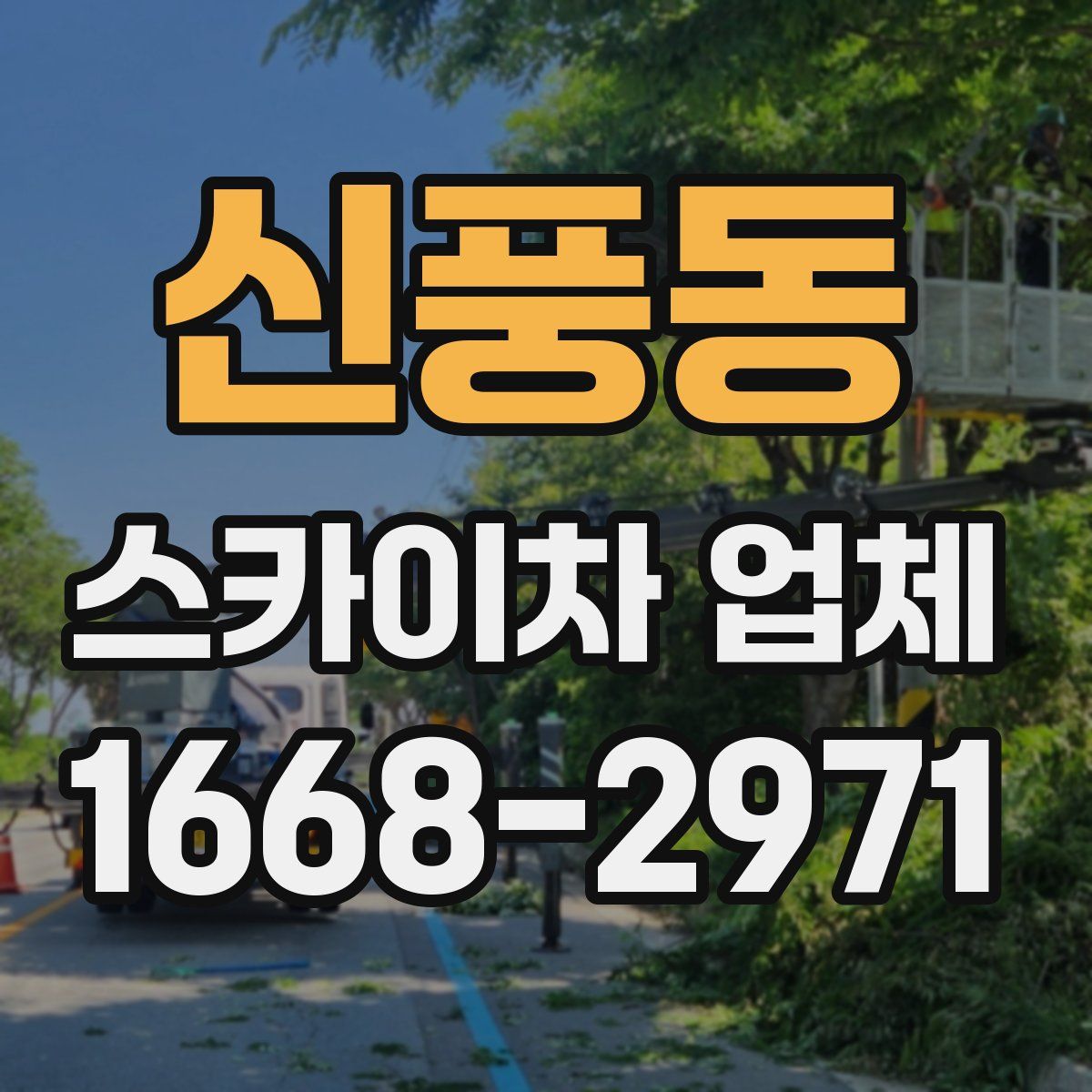 신풍동 스카이차 업체