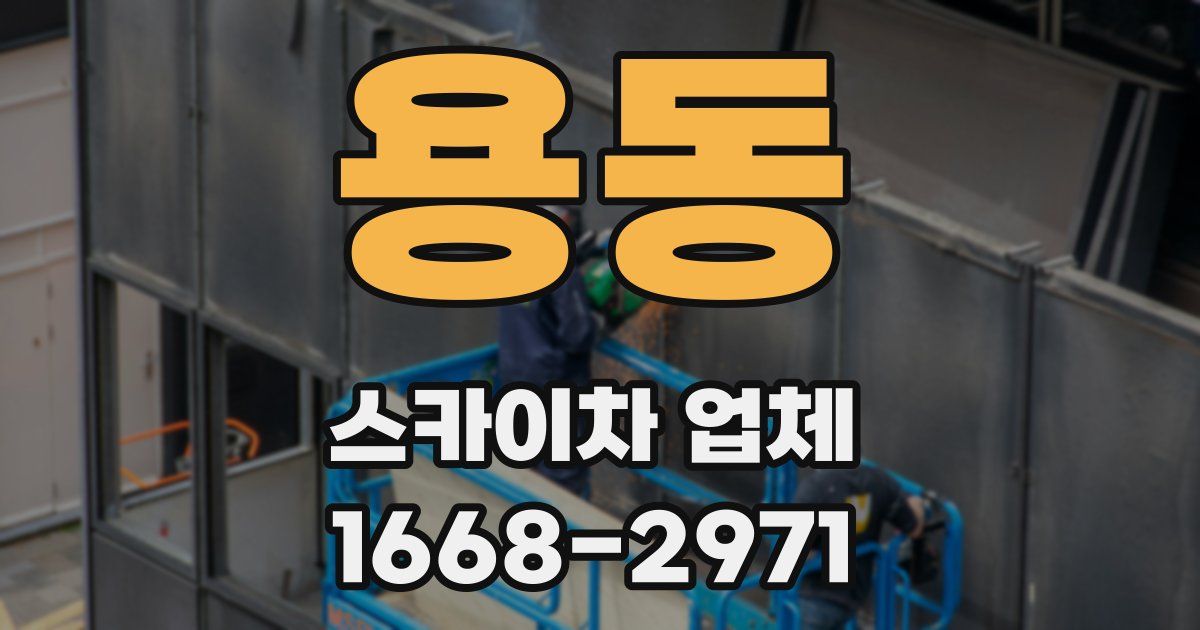 용동 스카이차 업체