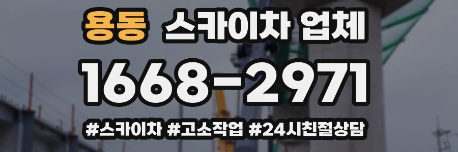 용동 스카이차 업체