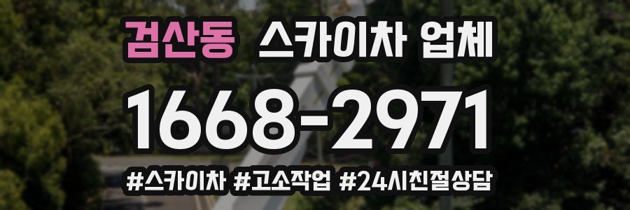 검산동 스카이차 업체