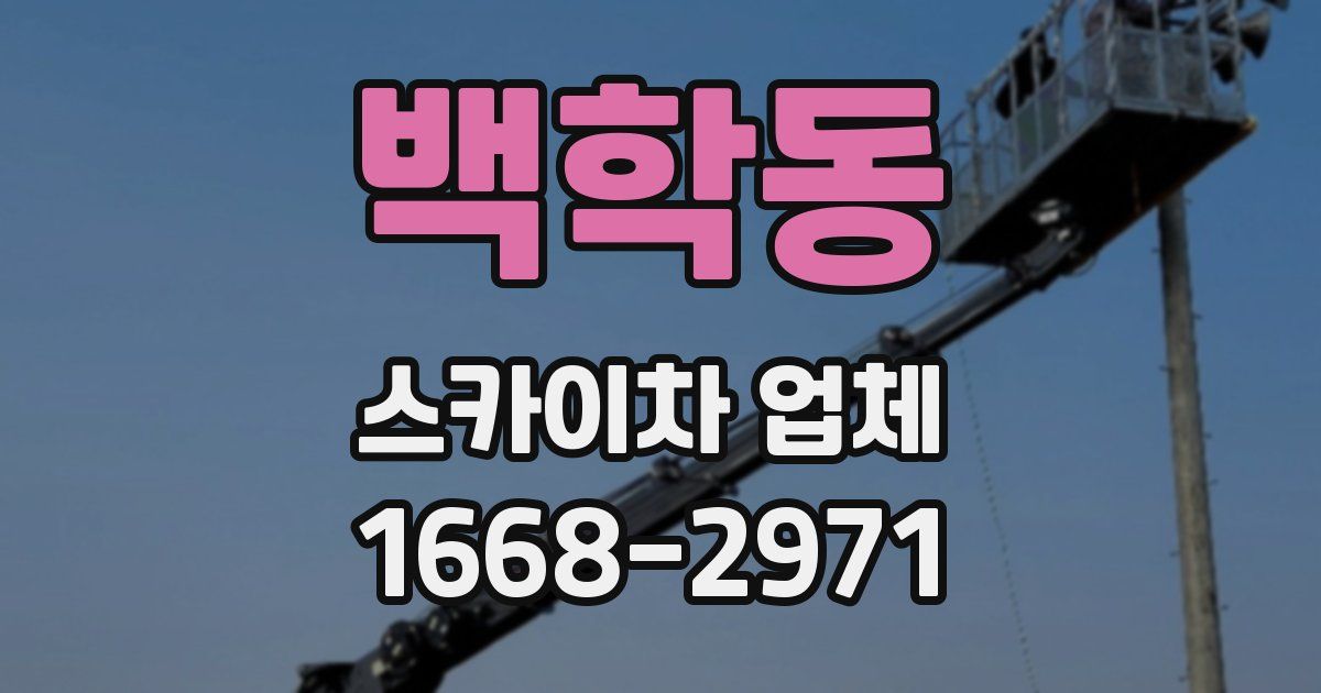 백학동 스카이차 업체