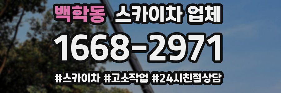 백학동 스카이차 업체