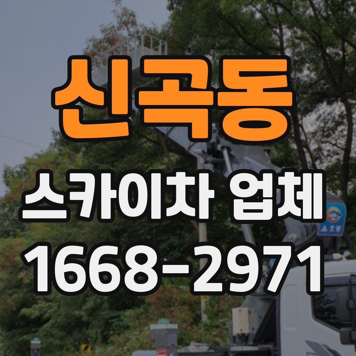 신곡동 스카이차 업체