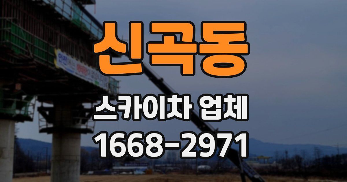 신곡동 스카이차 업체