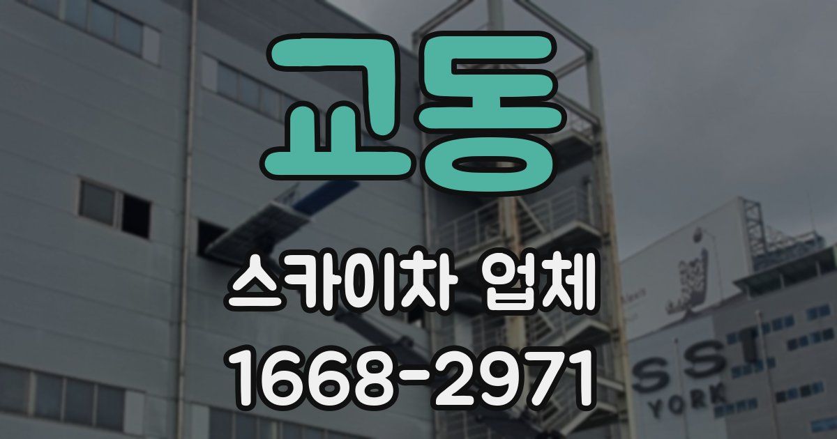 교동 스카이차 업체