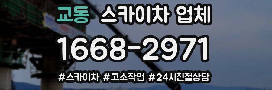 교동 스카이차 업체
