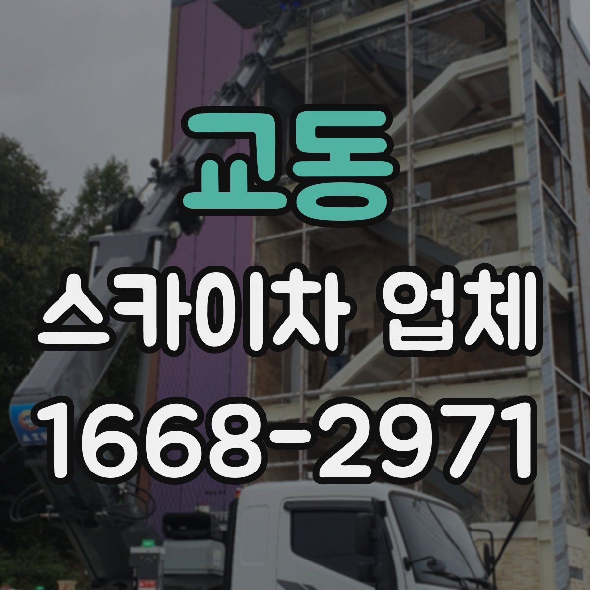 교동 스카이차 업체