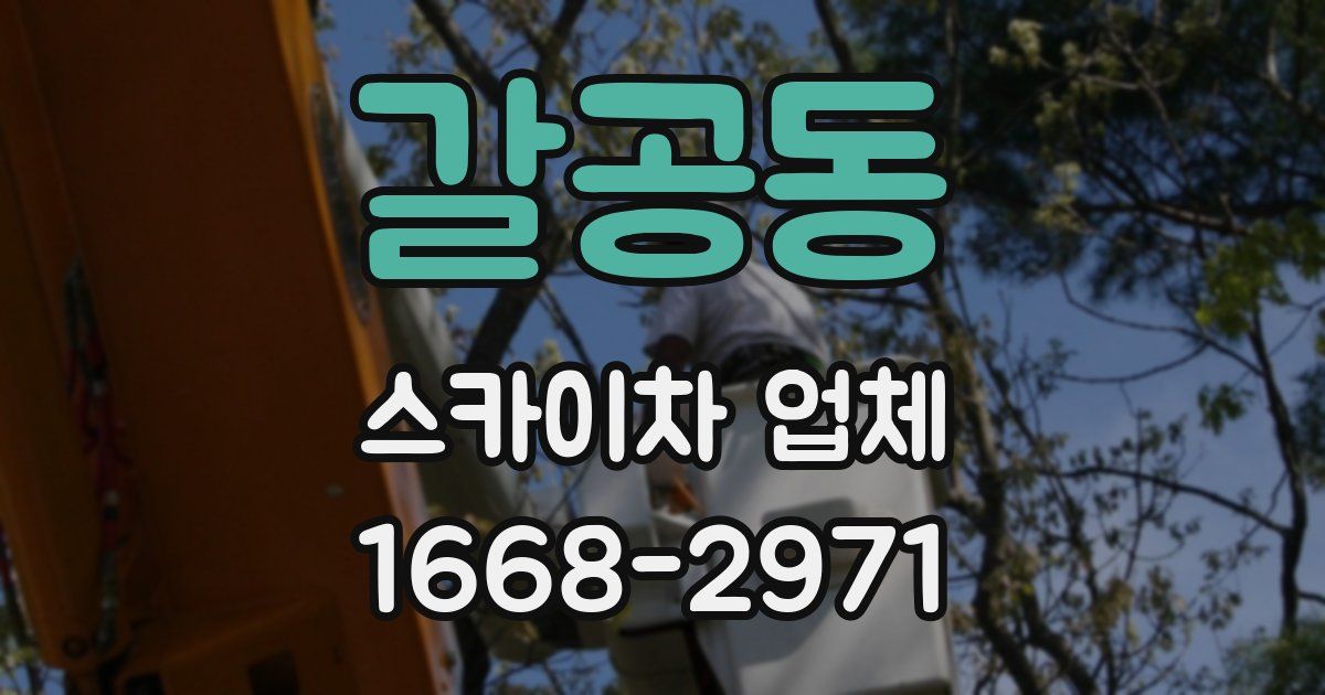 갈공동 스카이차 업체