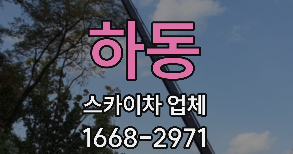 하동 스카이차 업체