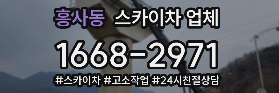 흥사동 스카이차 업체
