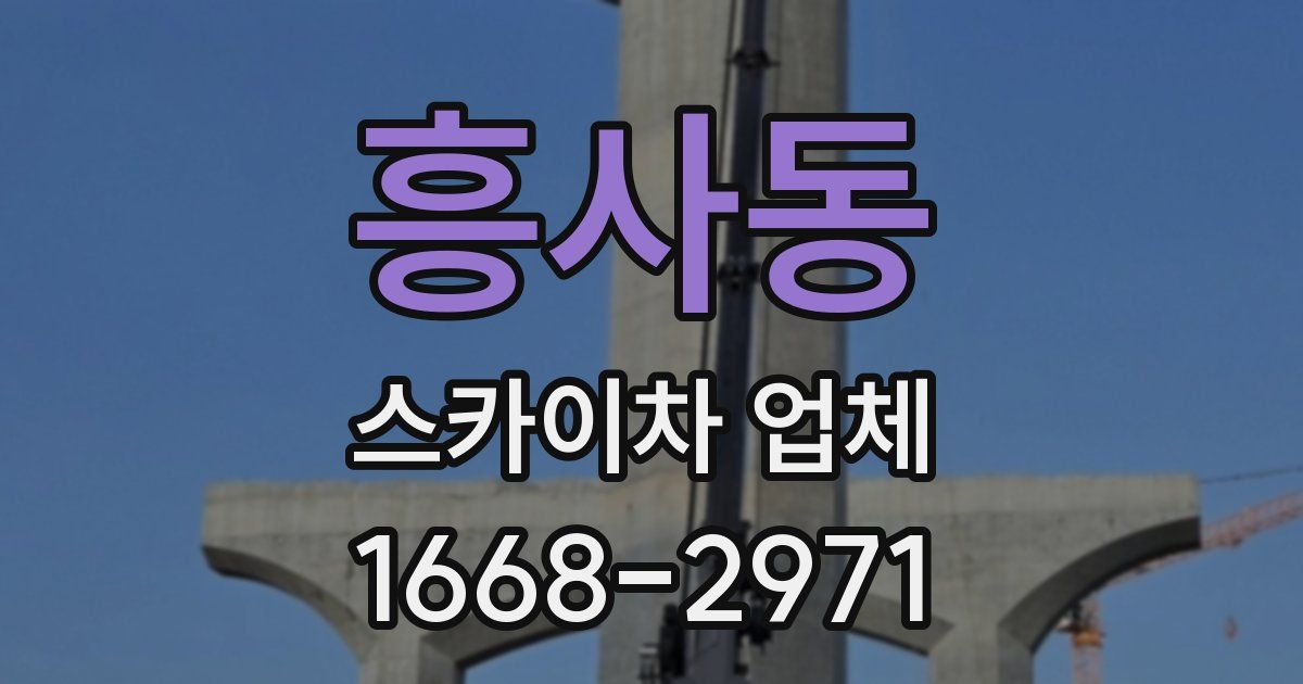 흥사동 스카이차 업체