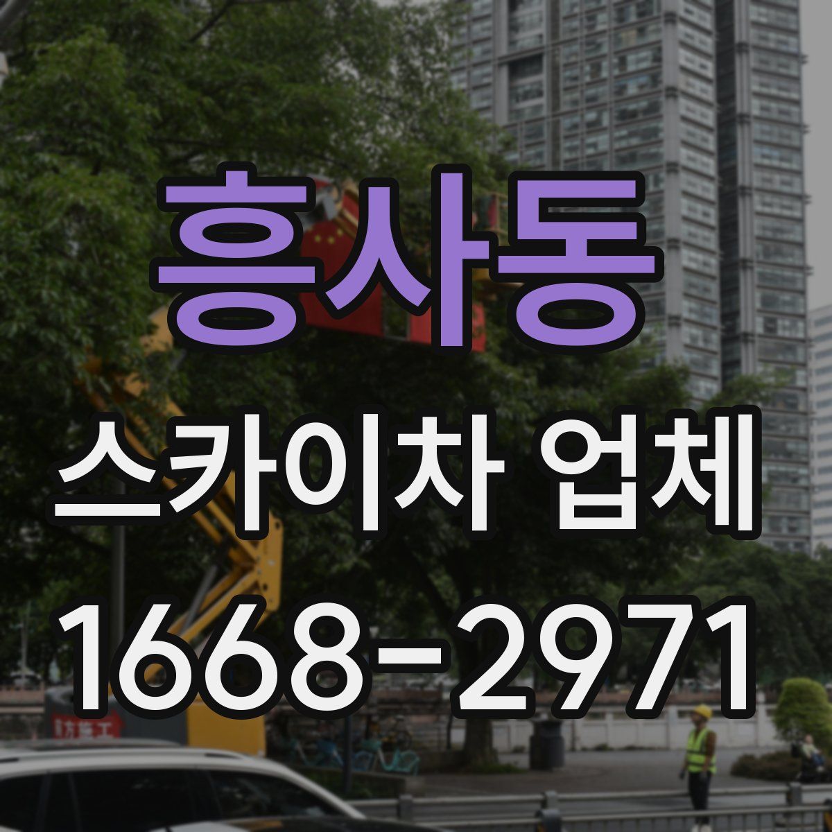 흥사동 스카이차 업체