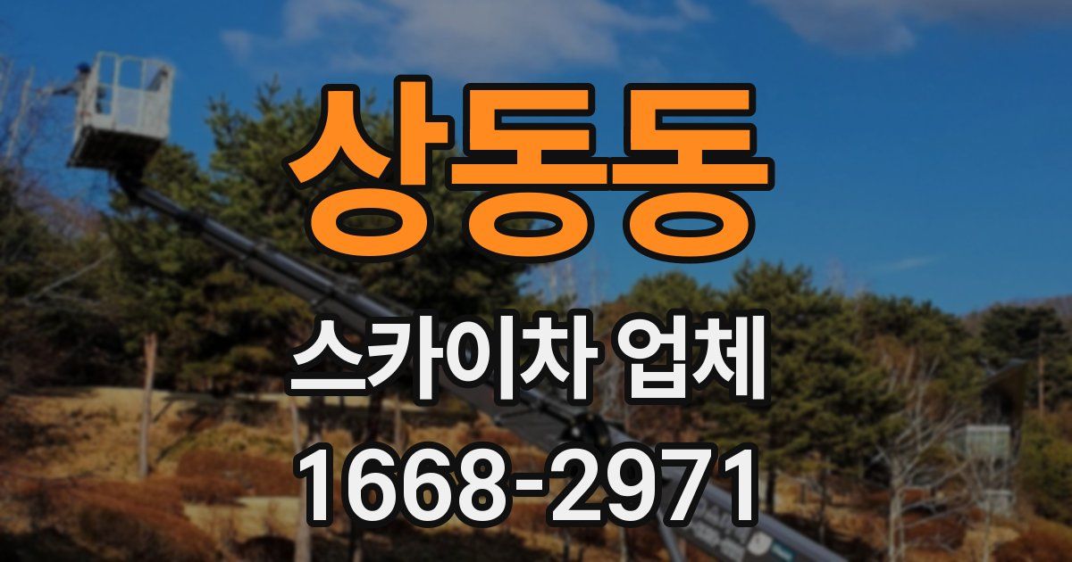 상동동 스카이차 업체