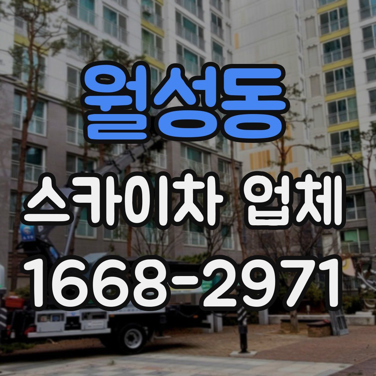 월성동 스카이차 업체