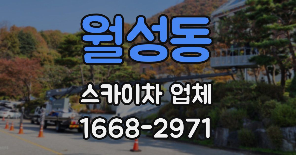 월성동 스카이차 업체