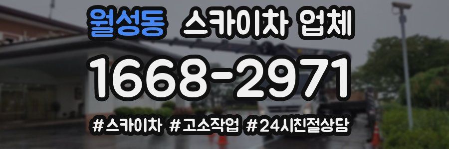 월성동 스카이차 업체
