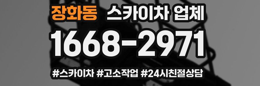 장화동 스카이차 업체
