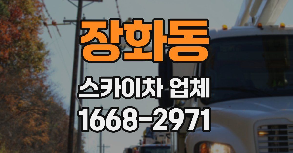 장화동 스카이차 업체