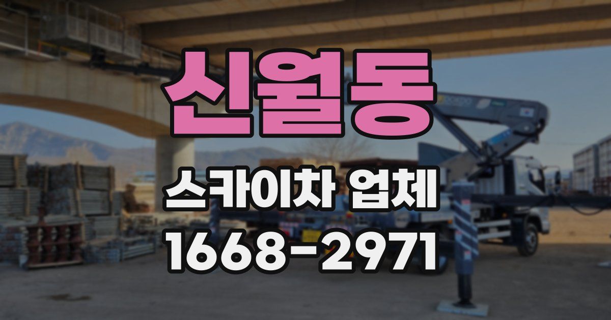 신월동 스카이차 업체