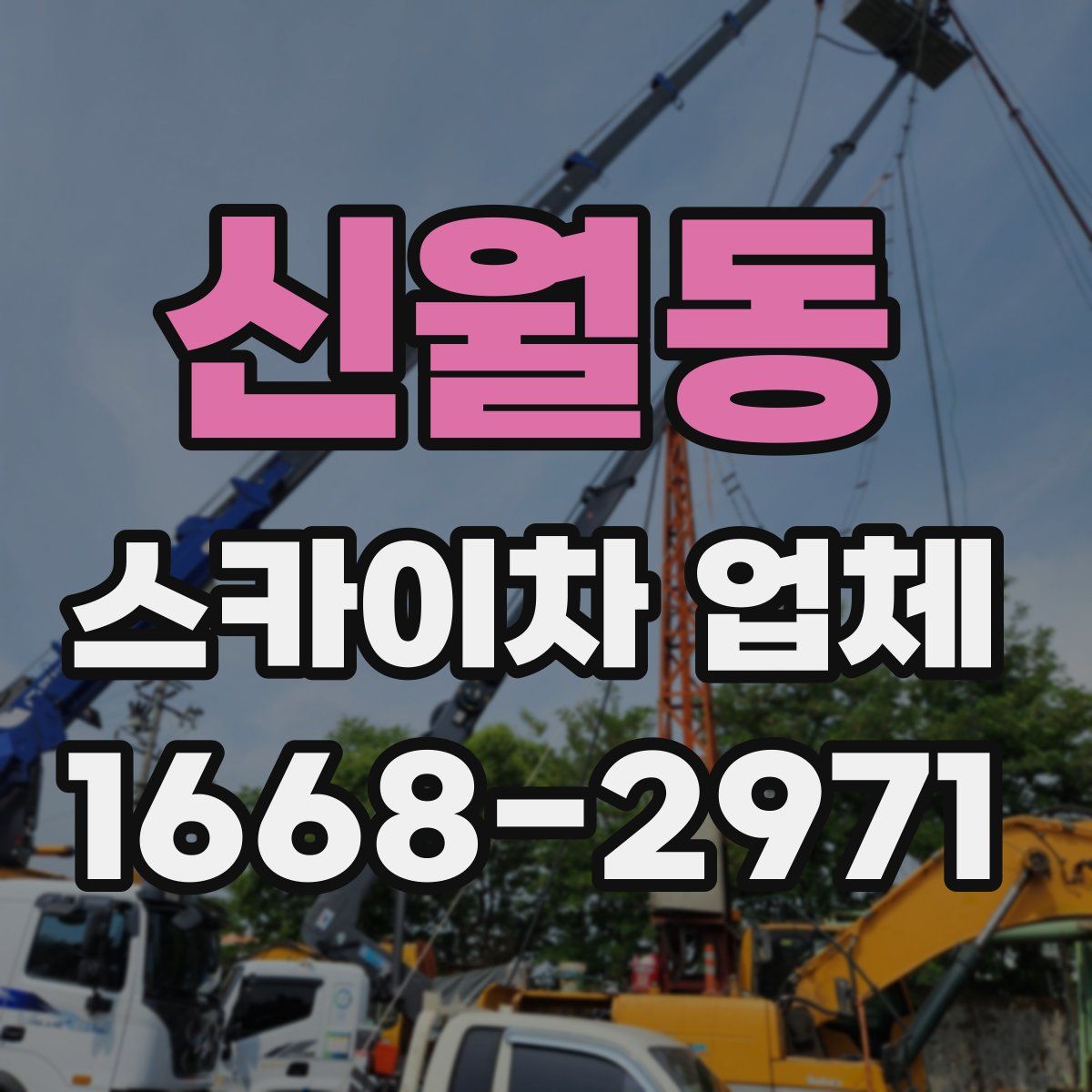 신월동 스카이차 업체