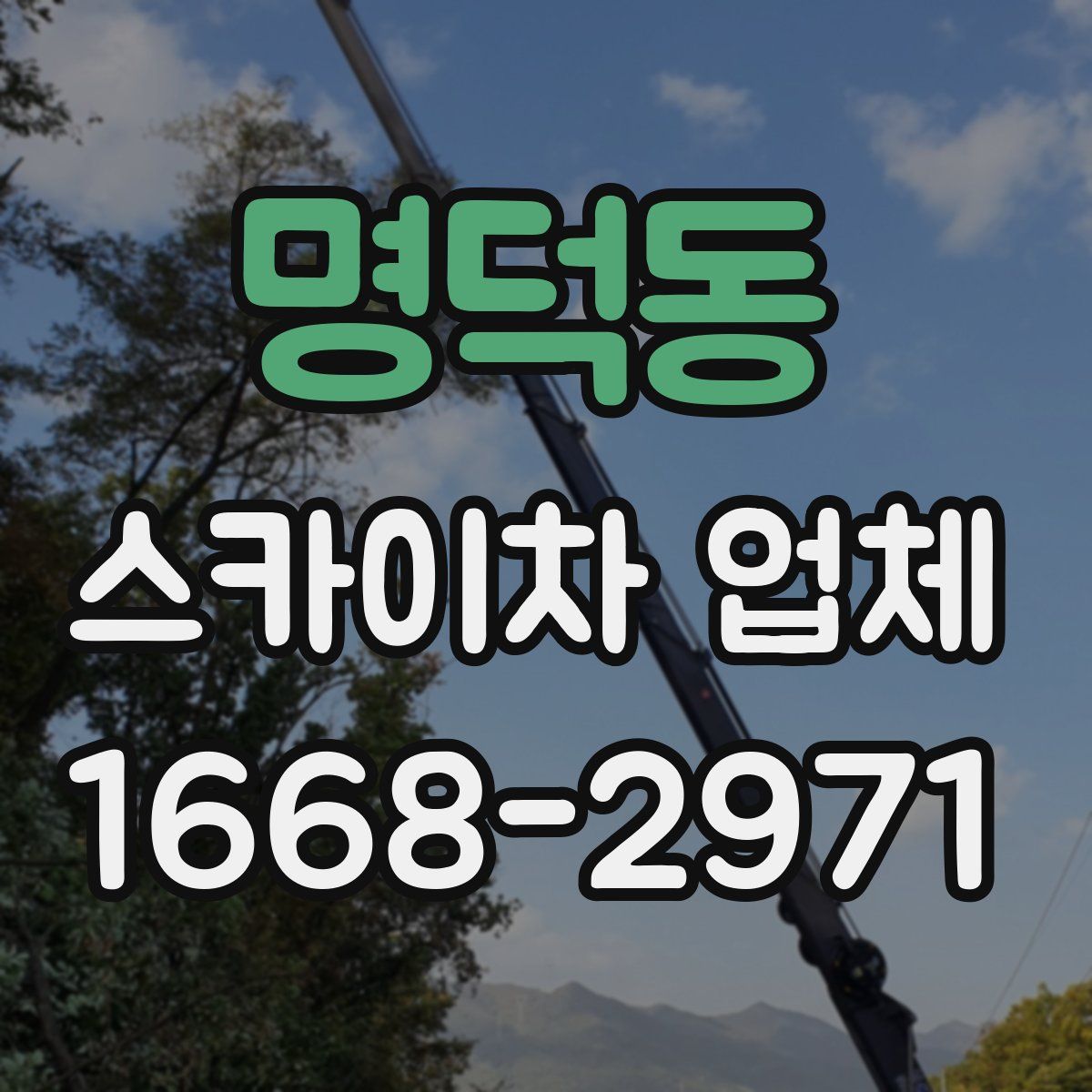 명덕동 스카이차 업체