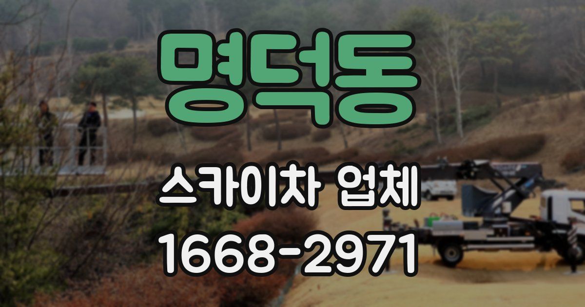 명덕동 스카이차 업체