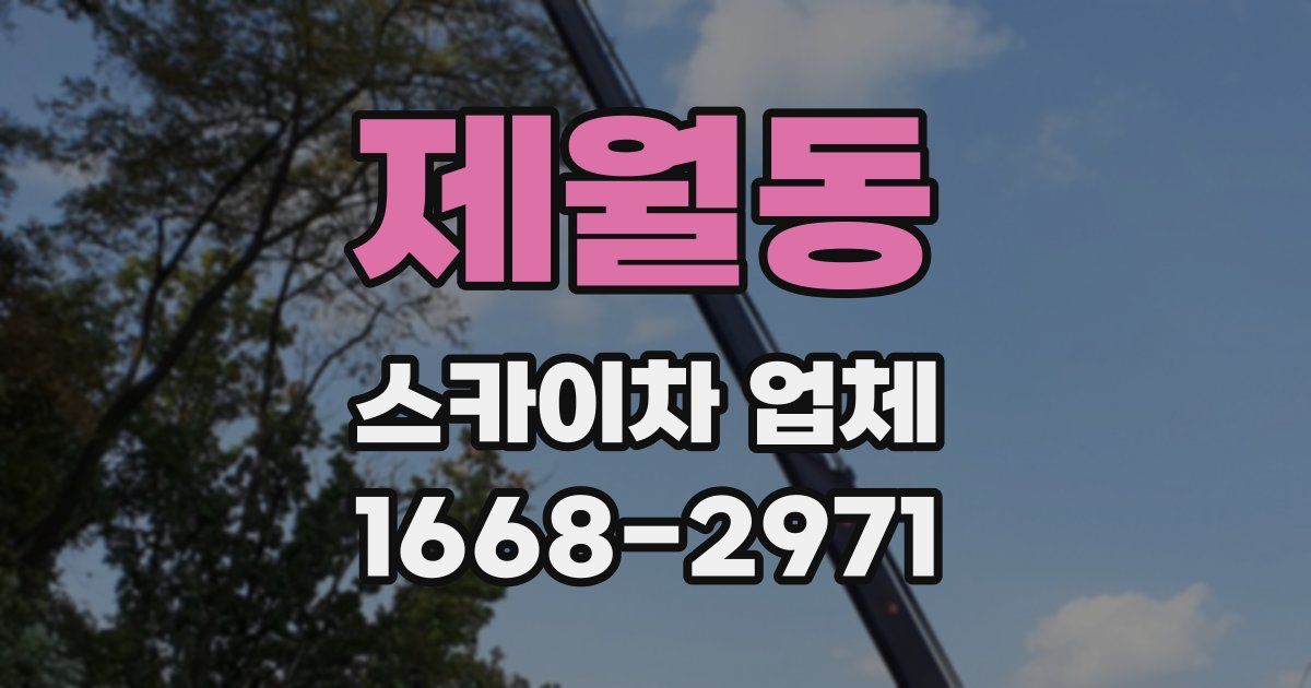 제월동 스카이차 업체