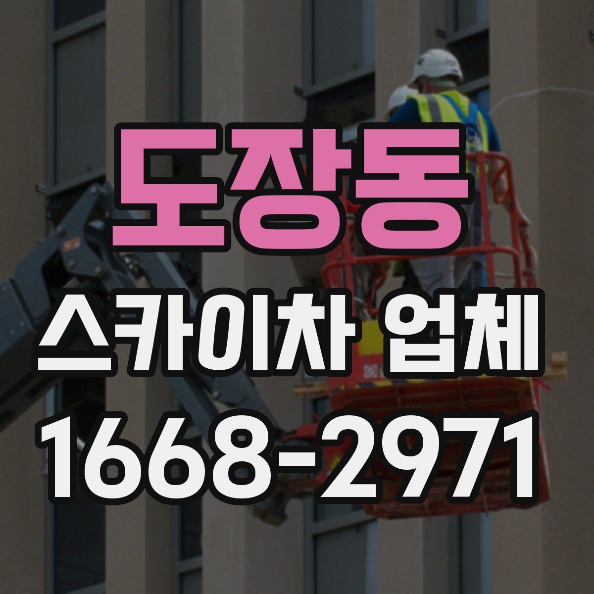 도장동 스카이차 업체