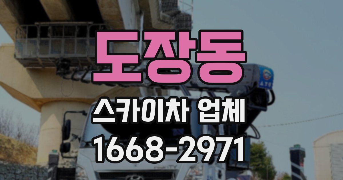 도장동 스카이차 업체