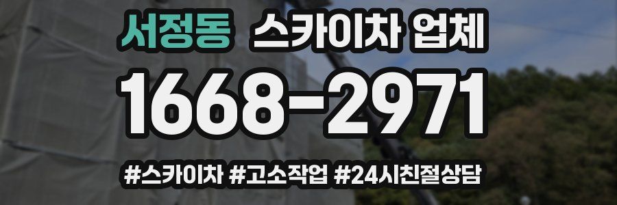 서정동 스카이차 업체