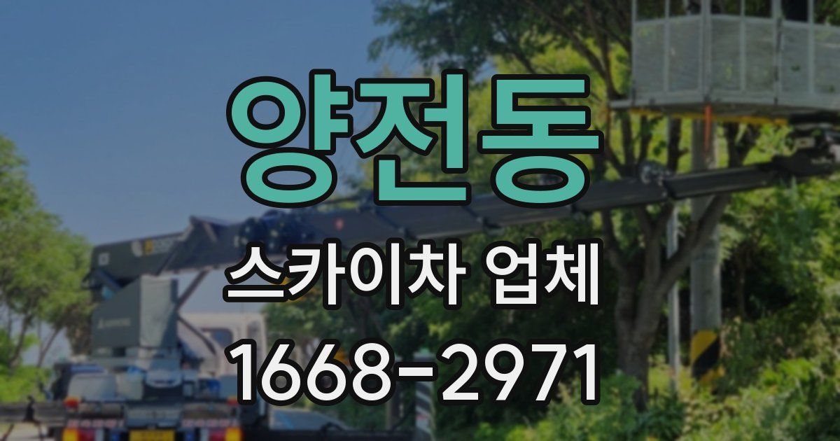 양전동 스카이차 업체