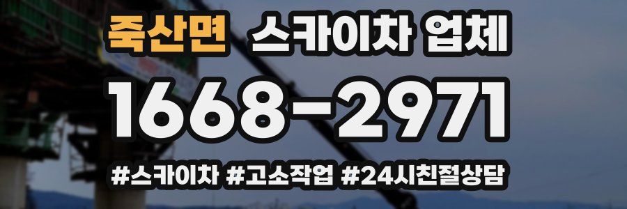 죽산면 스카이차 업체