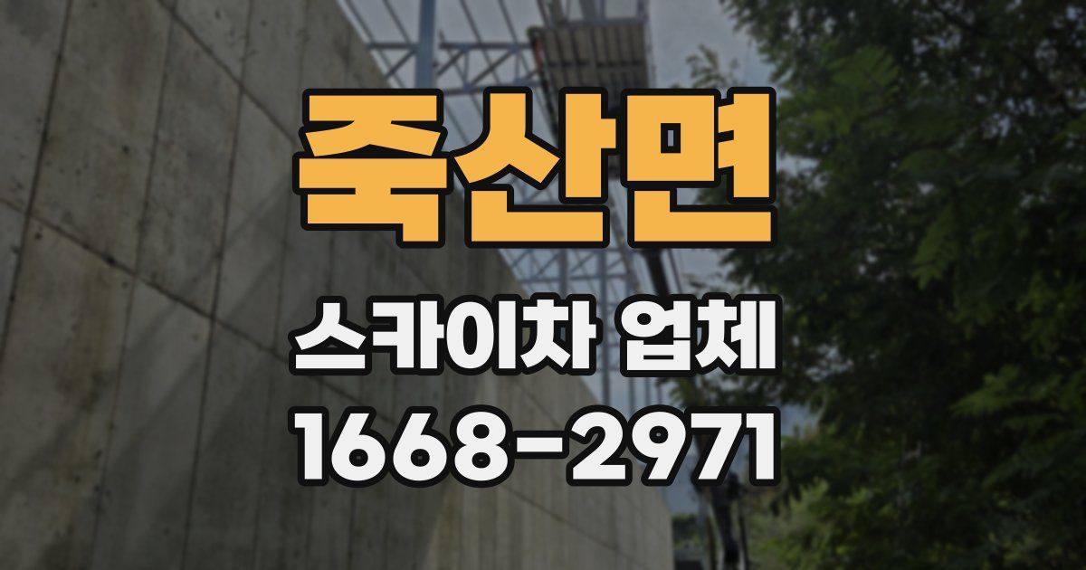 죽산면 스카이차 업체
