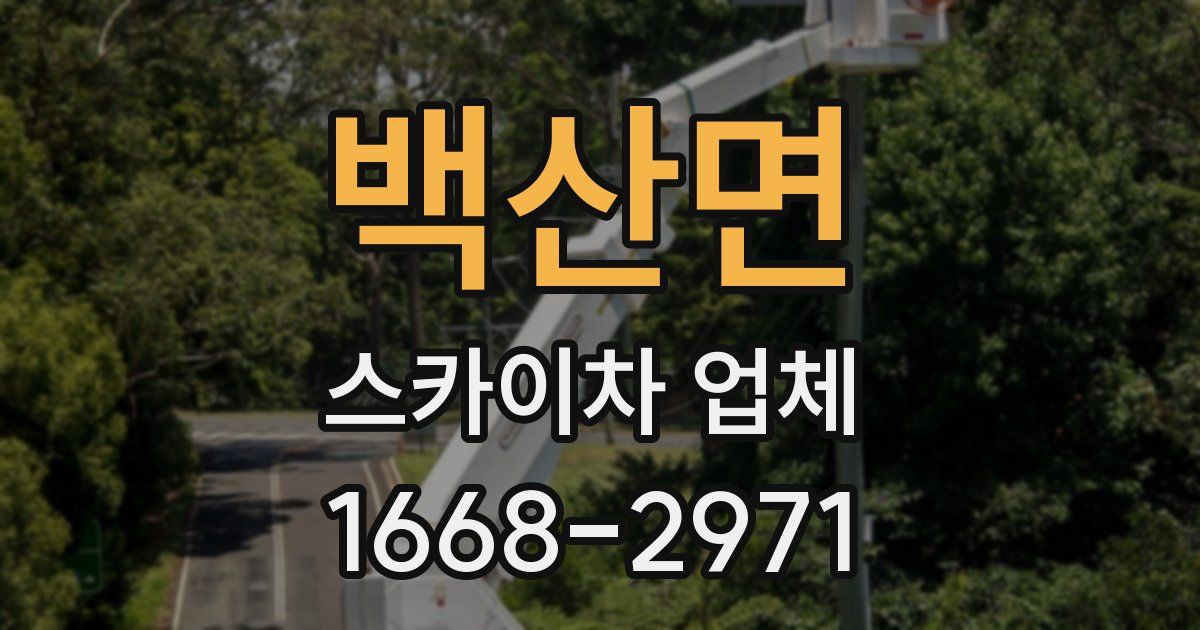 백산면 스카이차 업체