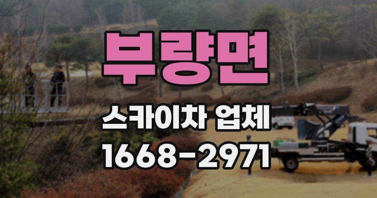 부량면 스카이차 업체
