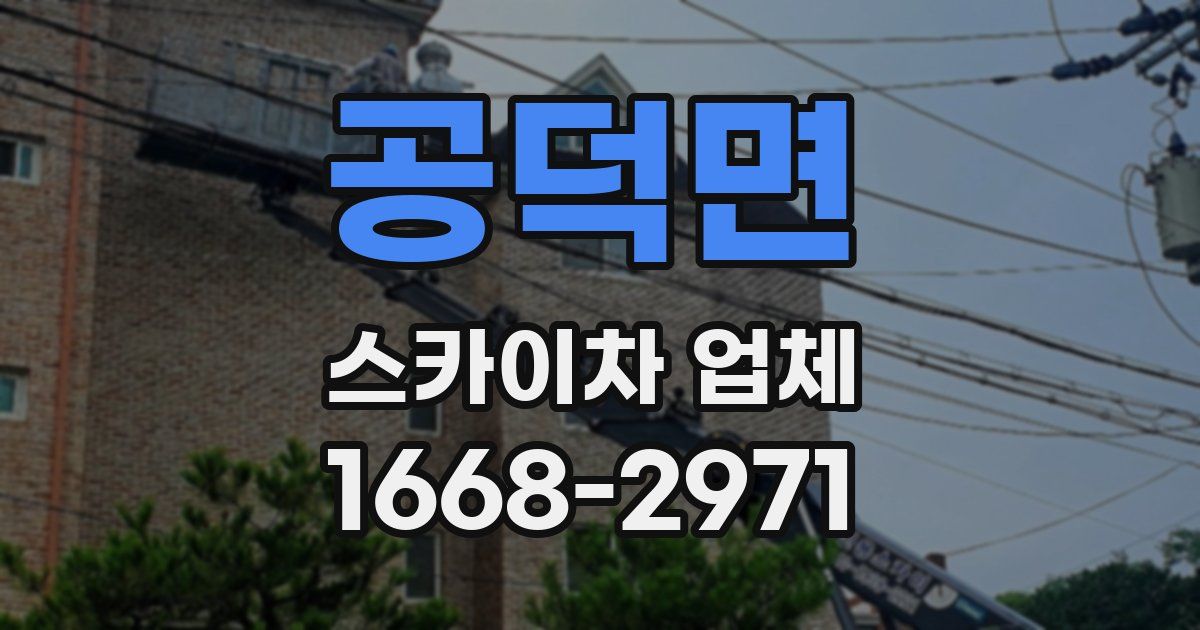 공덕면 스카이차 업체