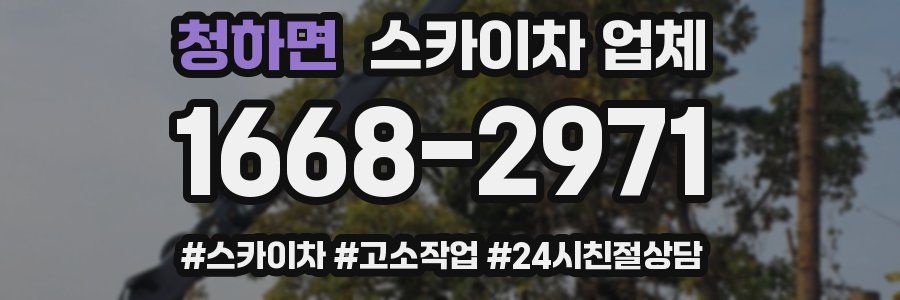 청하면 스카이차 업체
